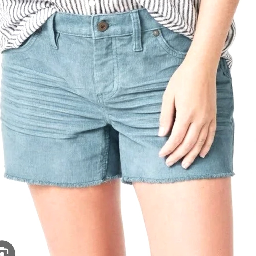 Carve Designs Oahu Shorts 4” inseam Blue